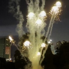 ФЛ0906 Пироф Летающий фейерверк Медуза (зеленая) 20/1 