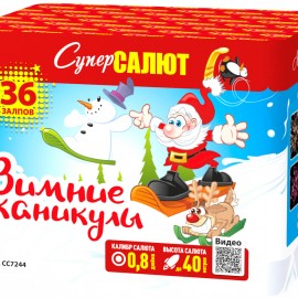 СС7244 Супер Зимние каникулы 36*0,8 