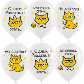 Шар (12''/30 см) С Днем Рождения! (рыжий котик), Белый, пастель, 1 ст, 25 шт. 