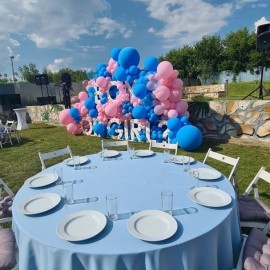 Пиротехническое шоу gender party 