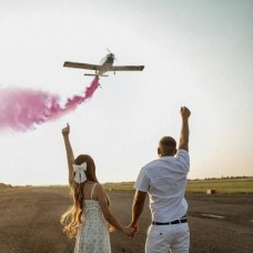 Гендер пати самолет 